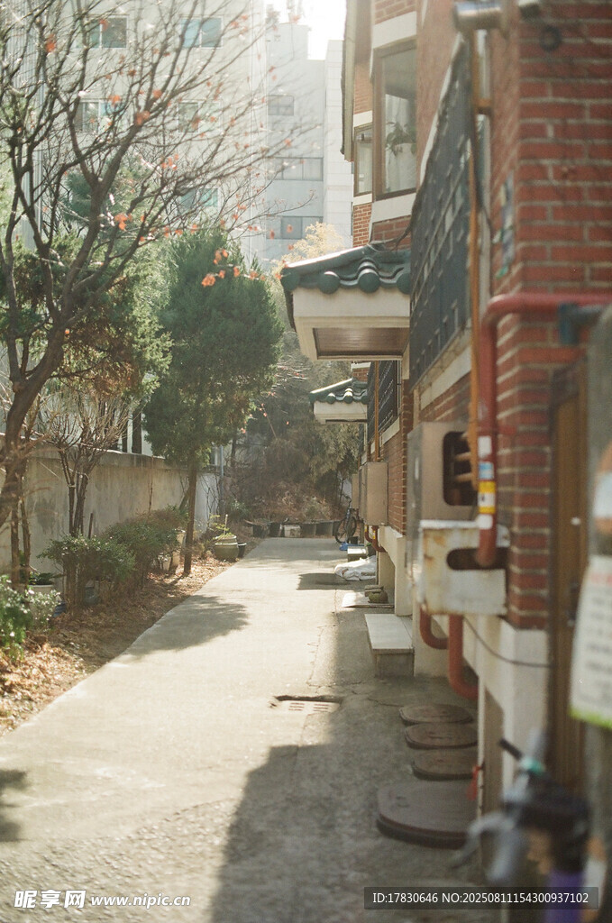 老旧居民楼旁的静谧小巷