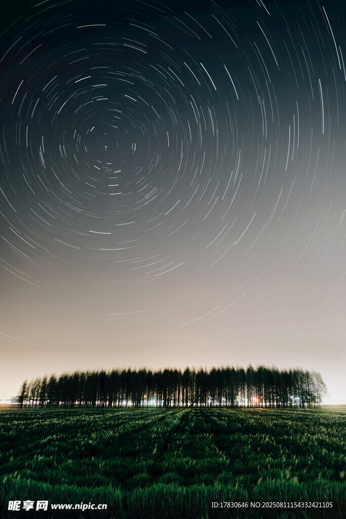 夜空下的星轨与葱郁树林