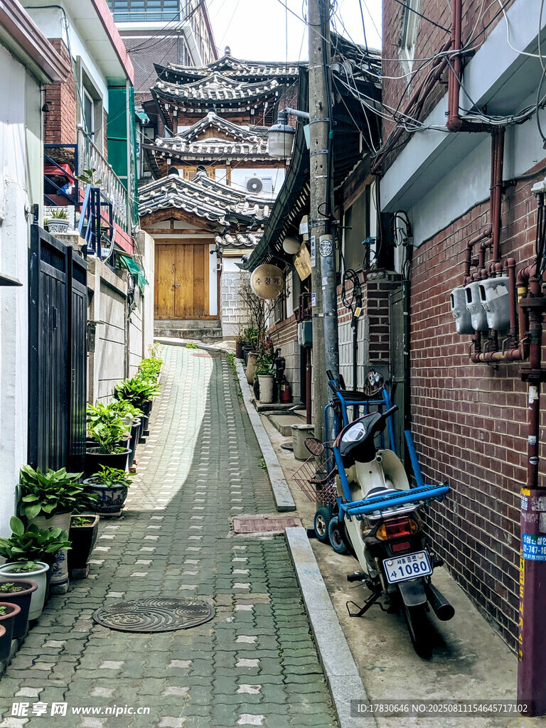 狭窄小巷中的静谧景致