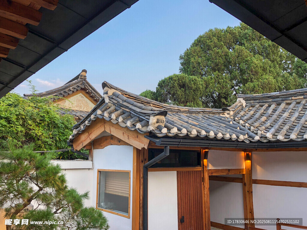 日式传统建筑庭院一角
