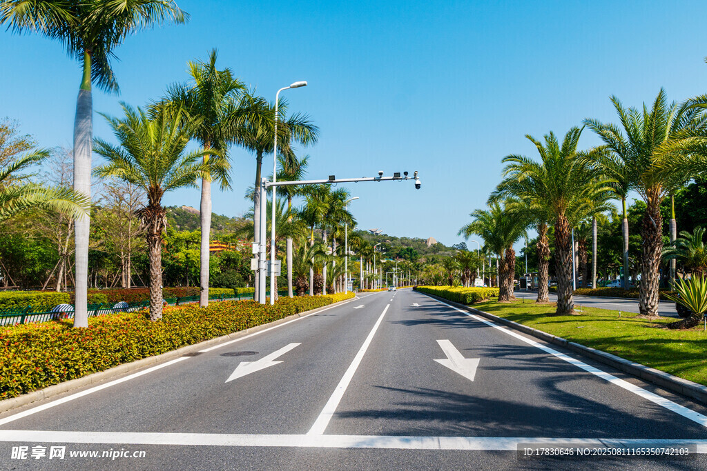 环岛公路