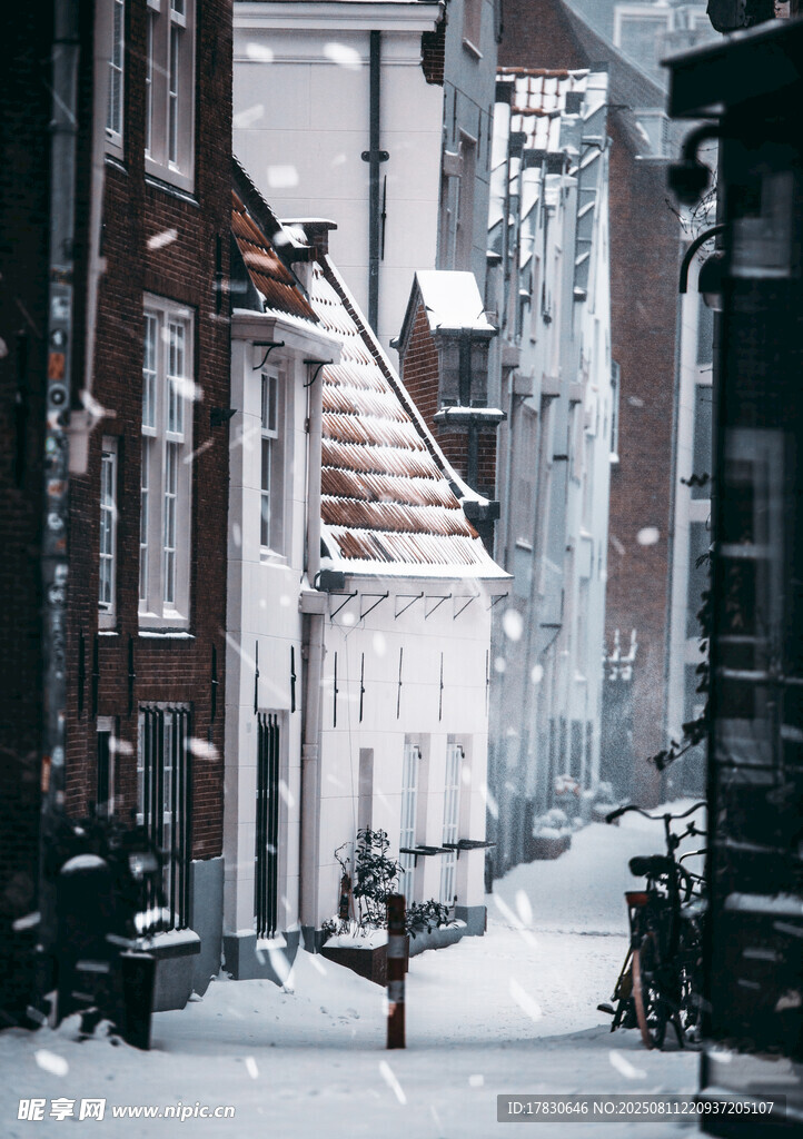 雪覆街巷的静谧冬日景象