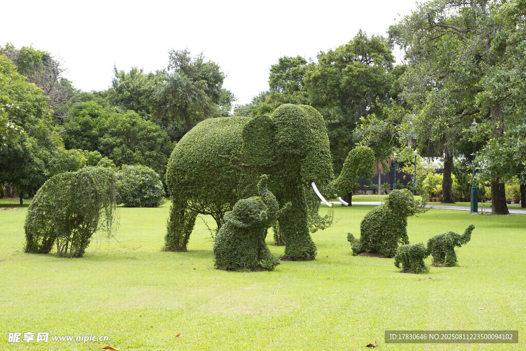 大象造型绿植景观