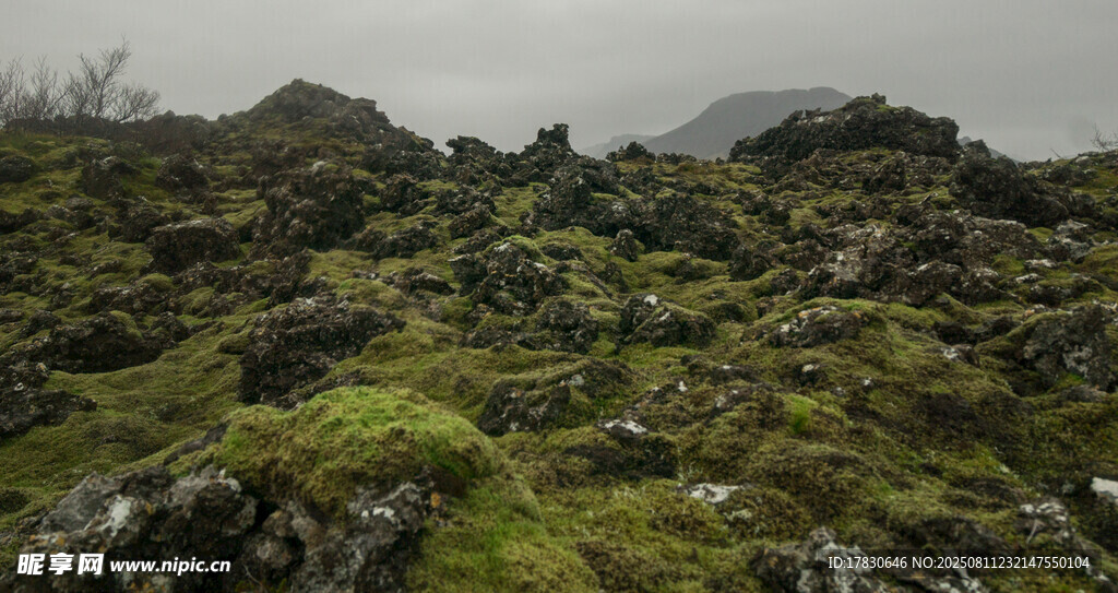 山间覆绿苔的嶙峋岩石