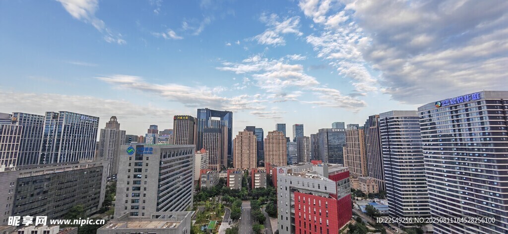城市高楼景观全景