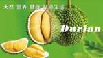 美味榴莲 开启健康新生活