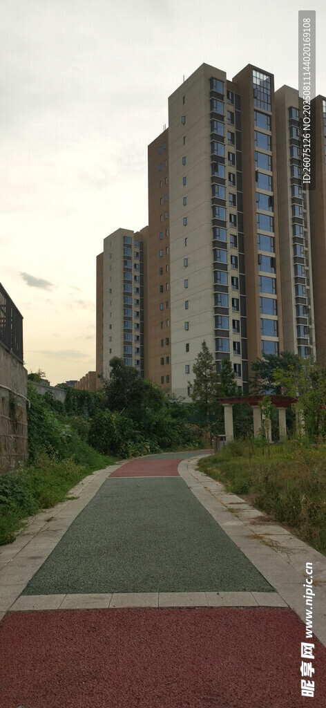 小区旁的彩色步道与高楼