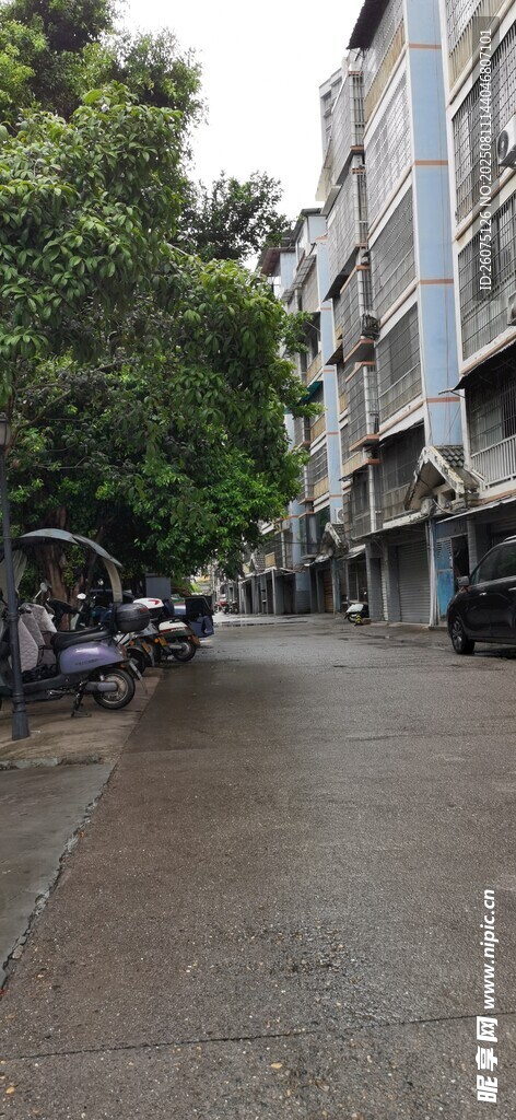 雨后绿树掩映的宁静道路