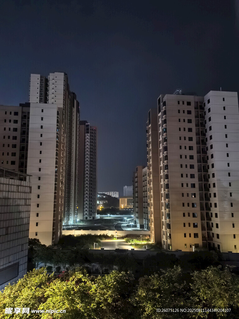 城市夜景高楼与葱郁绿植