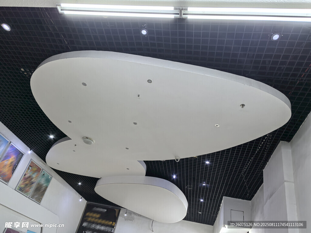 独特造型的白色吊顶灯具