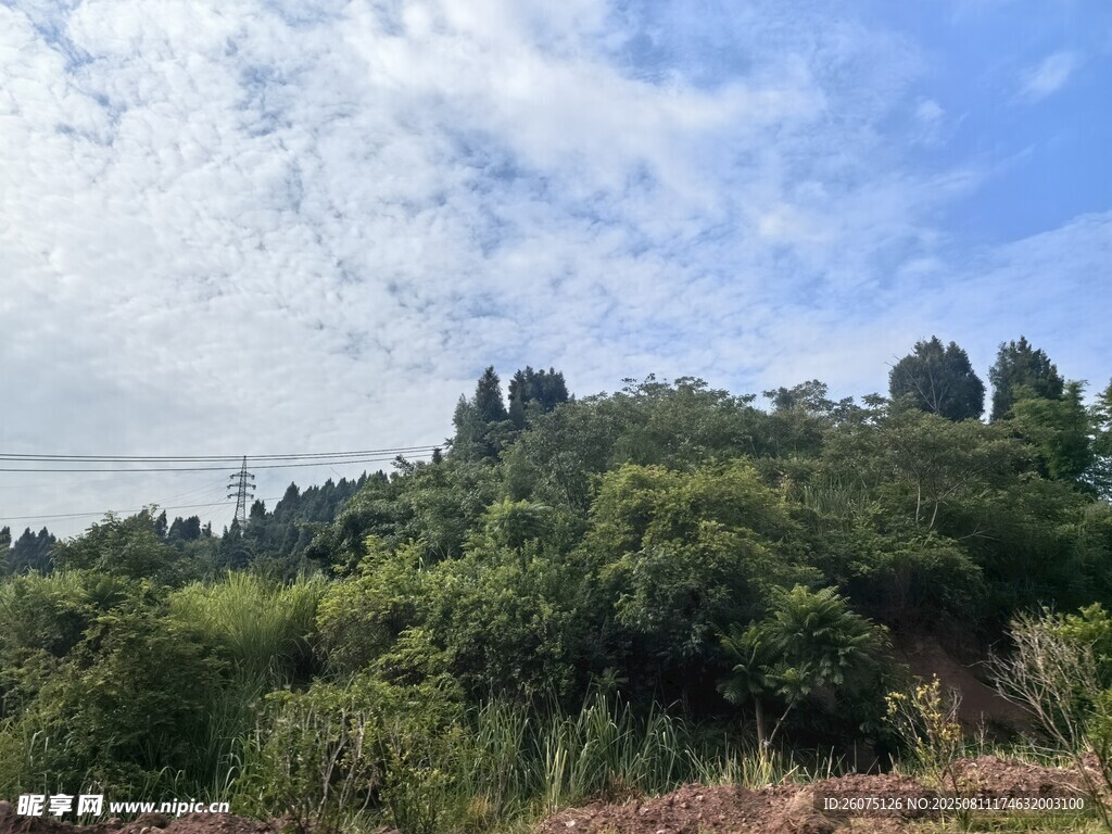 青山绿树间的自然景致