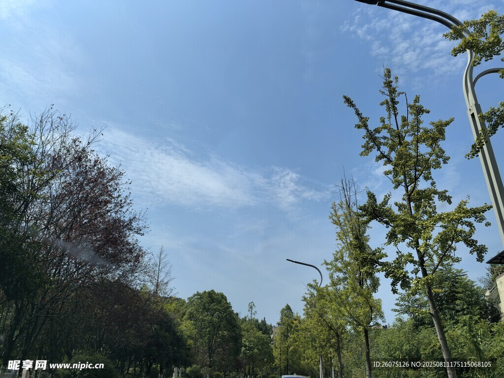 蓝天绿树间的自然景致