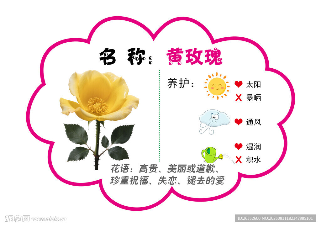 黄玫瑰