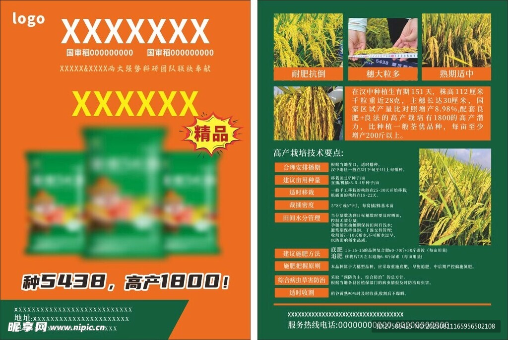 水稻单页