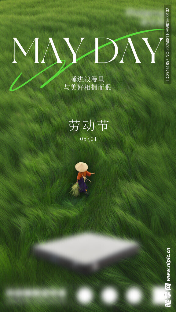 五月天草地主题清新画面