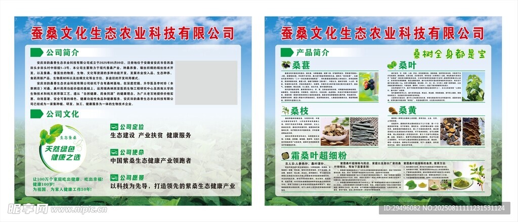 蚕桑文化展板