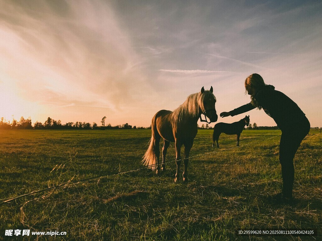 夕阳下人与马的温馨互动