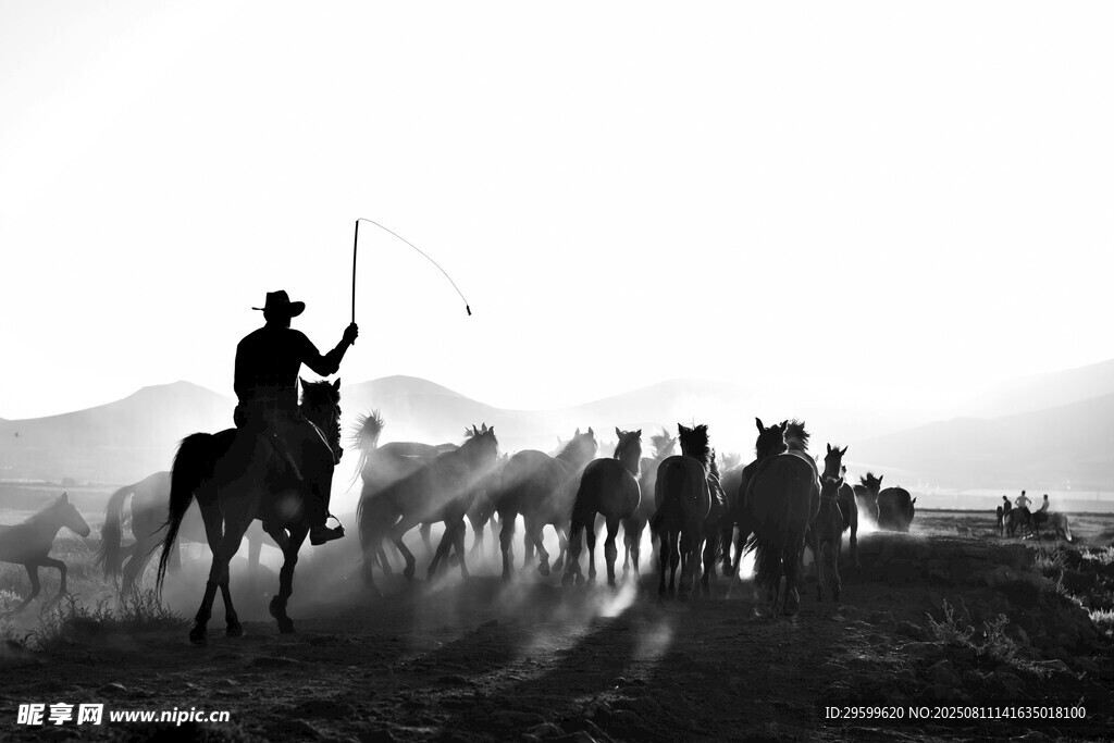 草原牧民策马 herd 场景