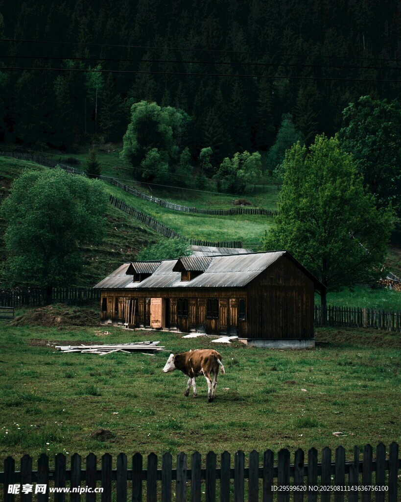 山间木屋旁的悠然田园景