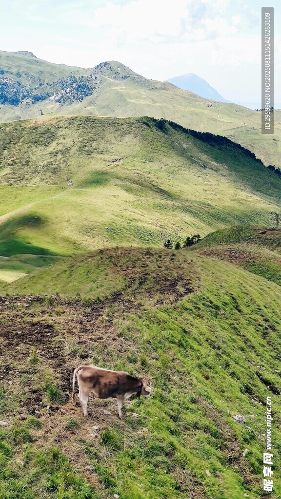 山间绿野中的悠然田园景