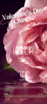 七夕情人节