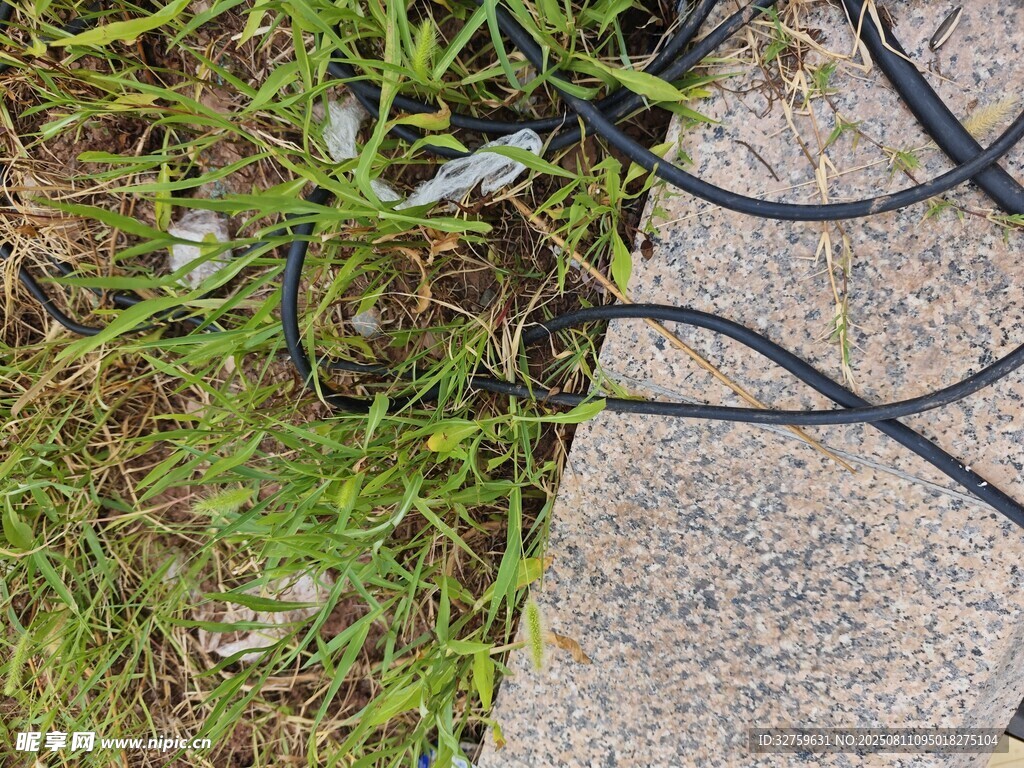 草地旁的黑色线缆
