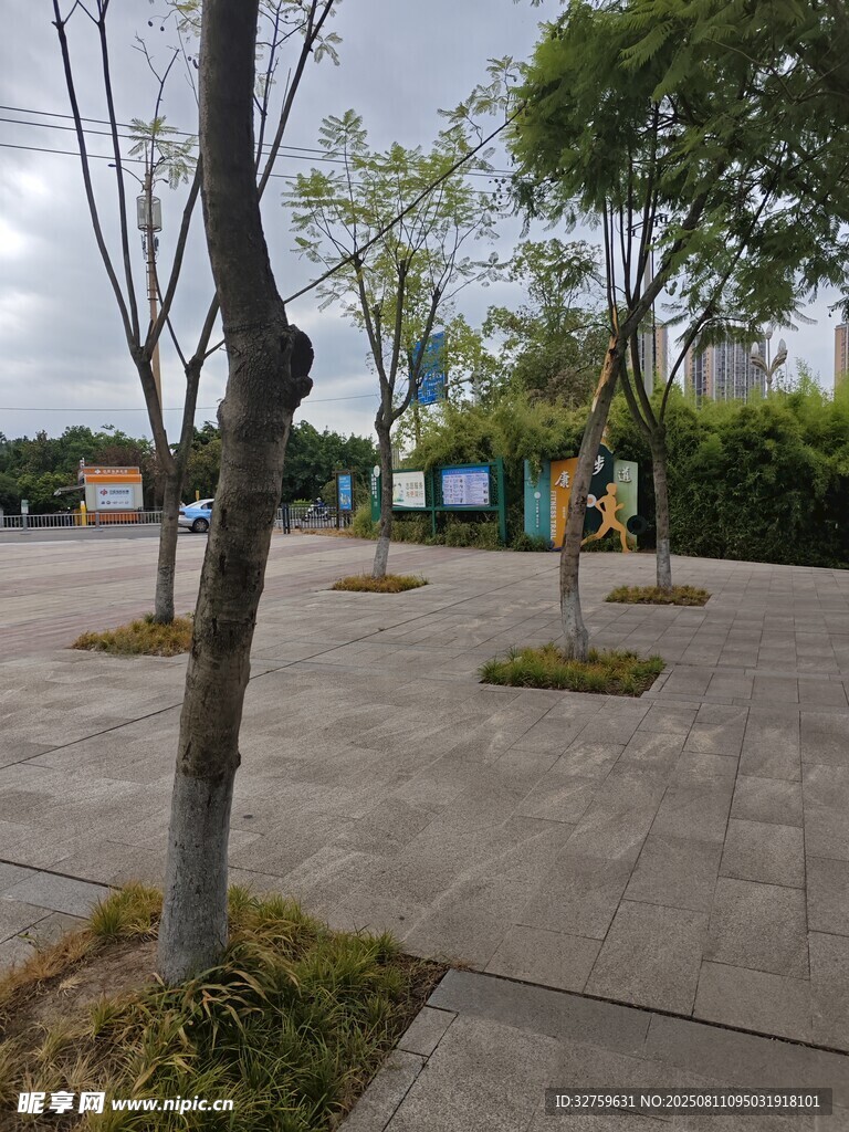 户外空旷的树木广场