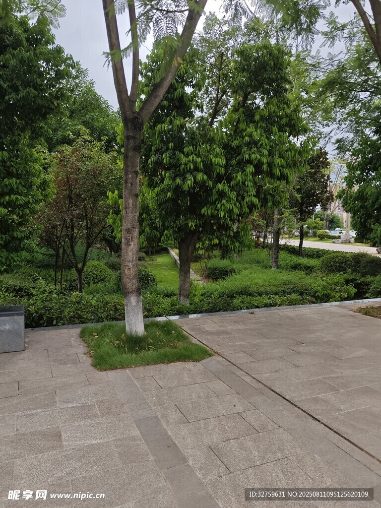 城市中的静谧绿化空间