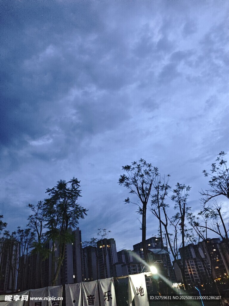 夜幕下的树木与天空