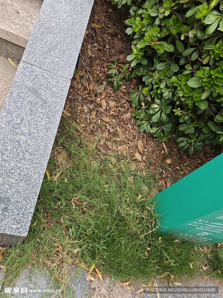 户外绿植旁的石板与绿管
