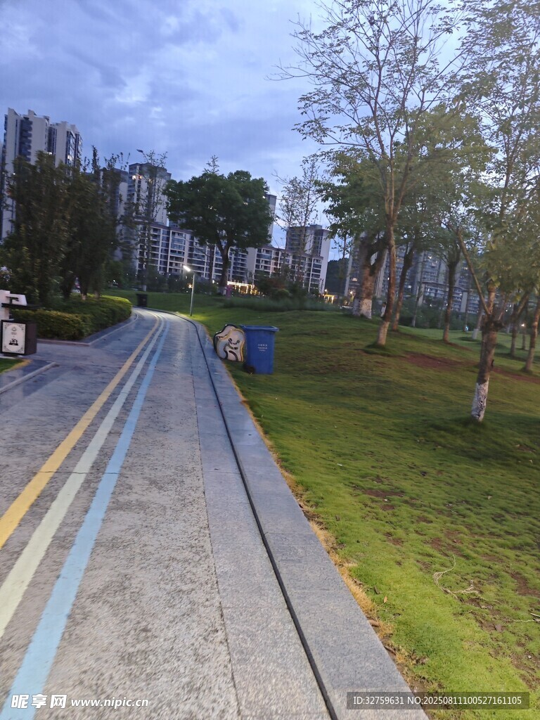 城市中的宁静林荫步道