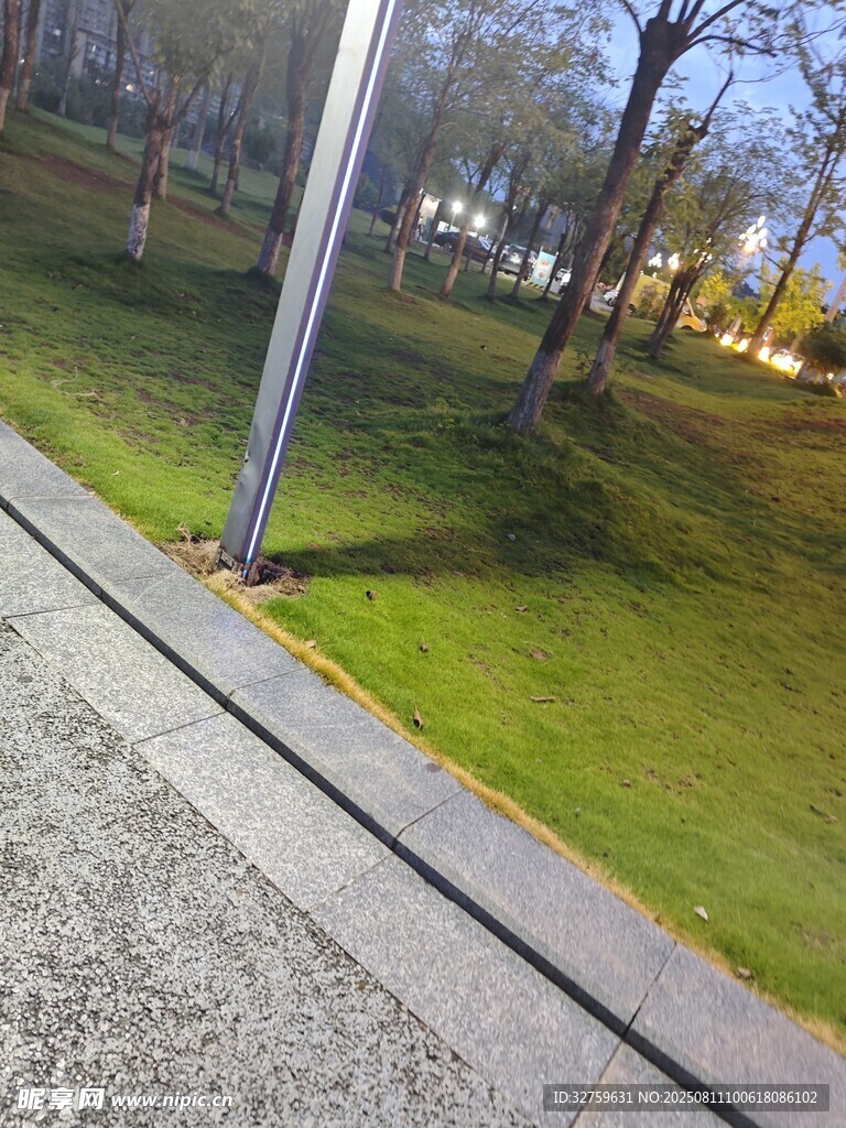 城市街边的绿地景观