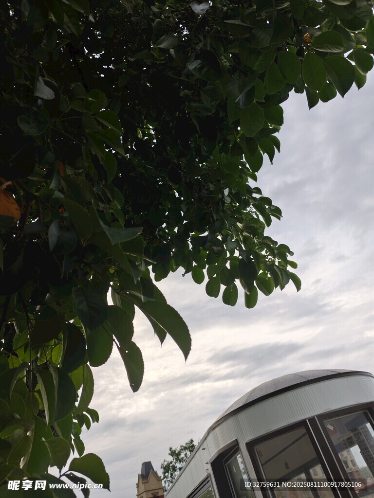 绿叶掩映下的现代建筑