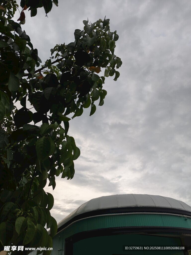 绿树掩映下的圆顶建筑