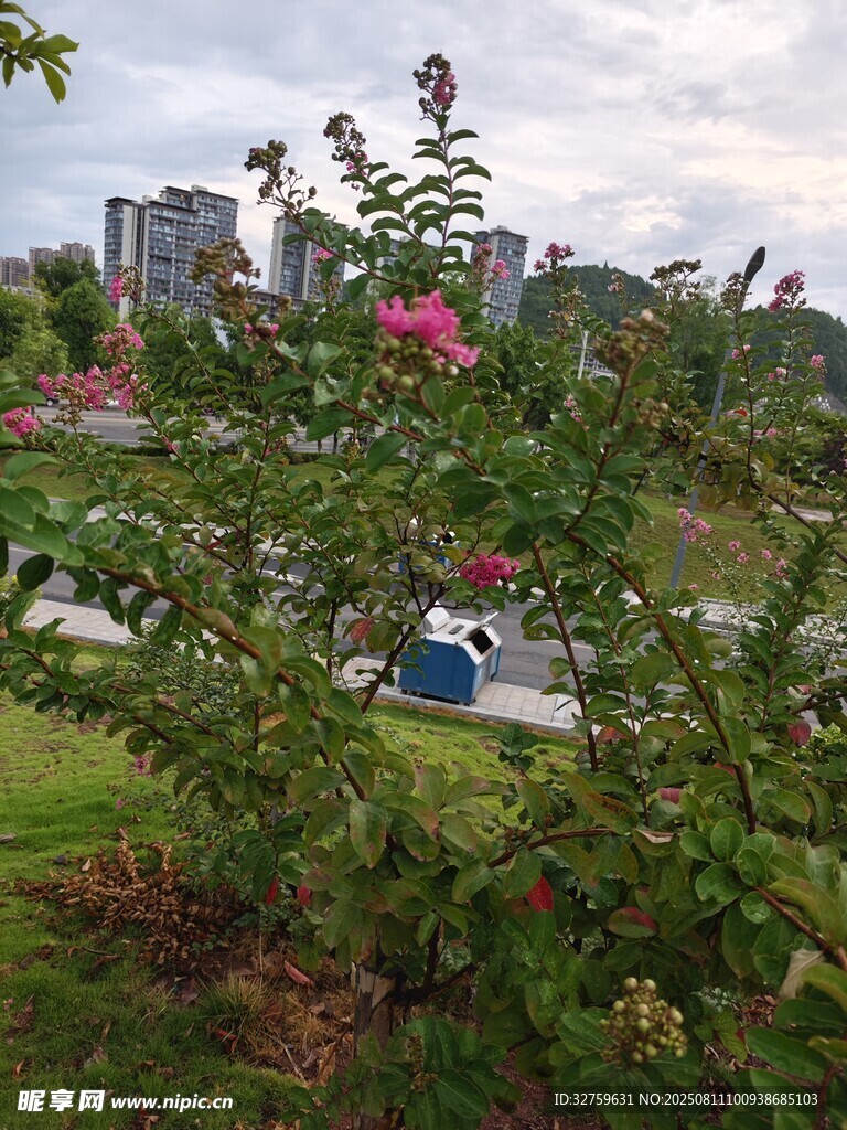公园繁花绿植景致