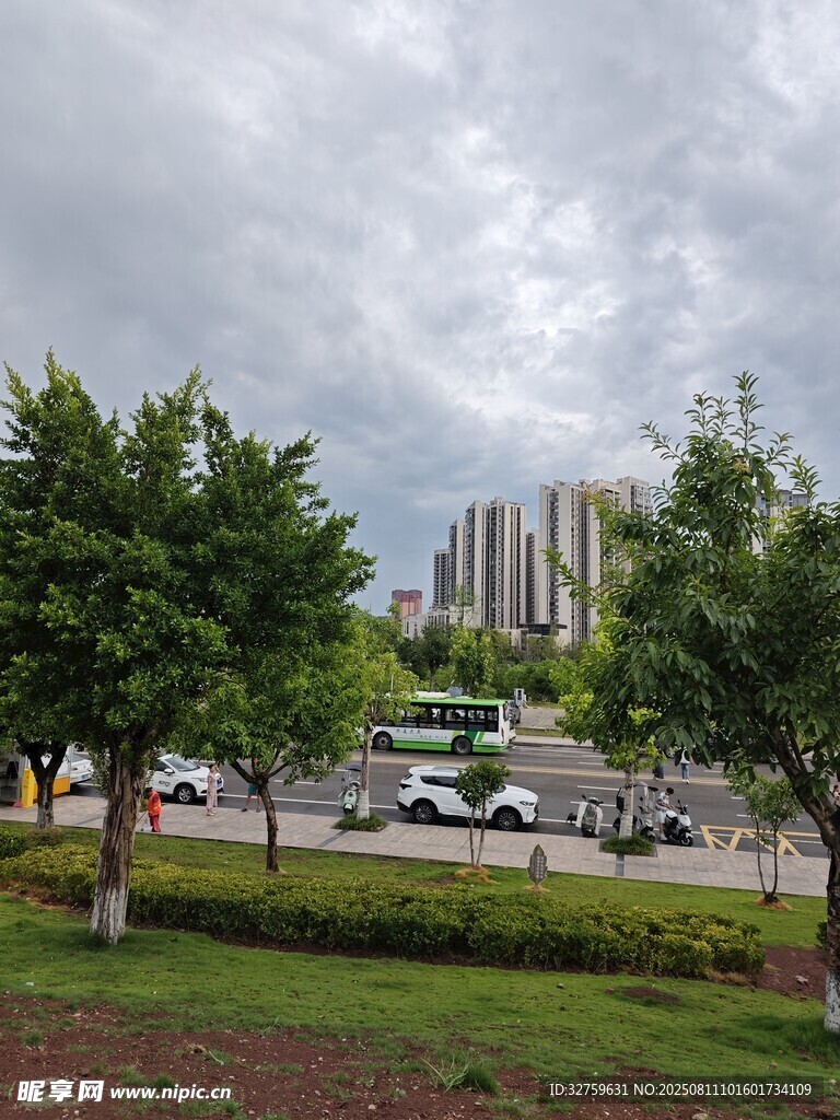 城市街景中的绿树与建筑