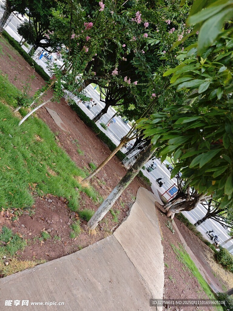 俯瞰绿树环绕的停车场景观