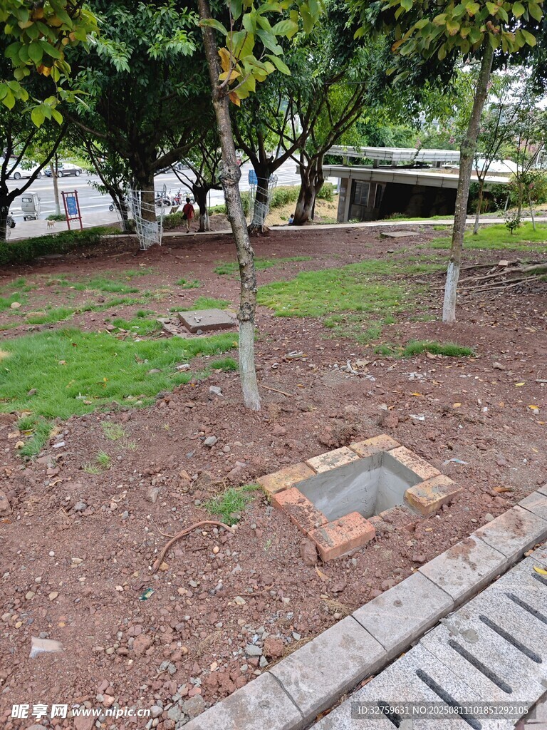 公园树下铺设的方形树池