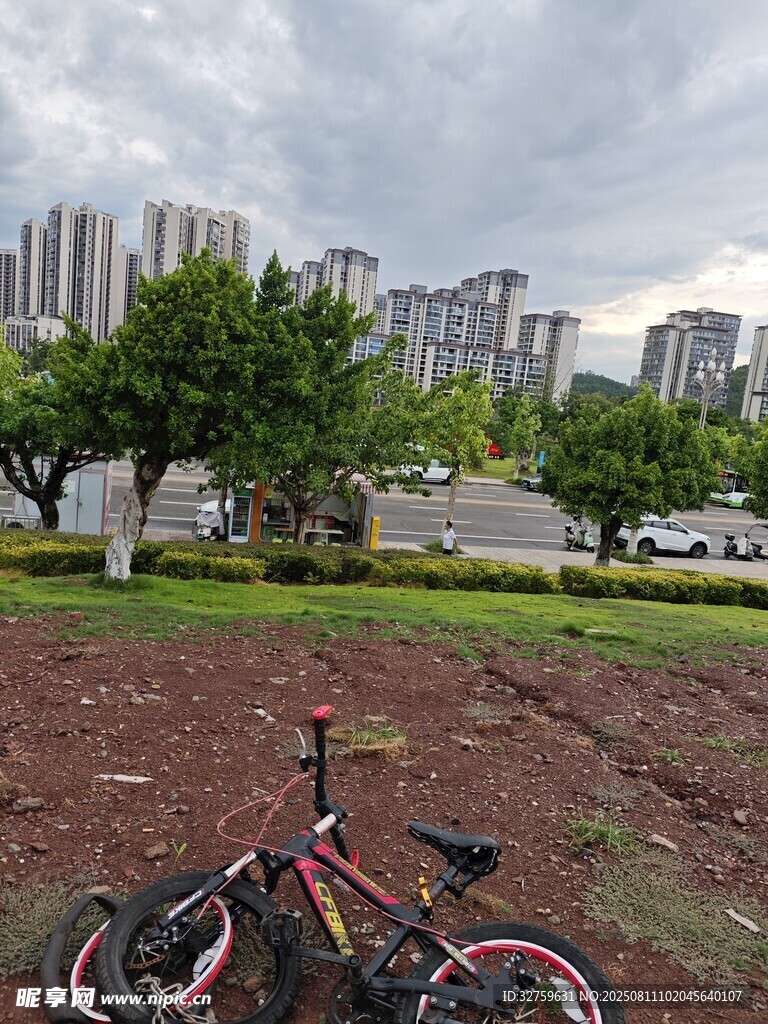 城市公园中的自行车与绿植