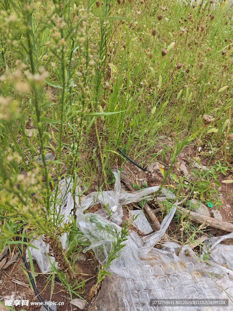 草丛中的白色垃圾