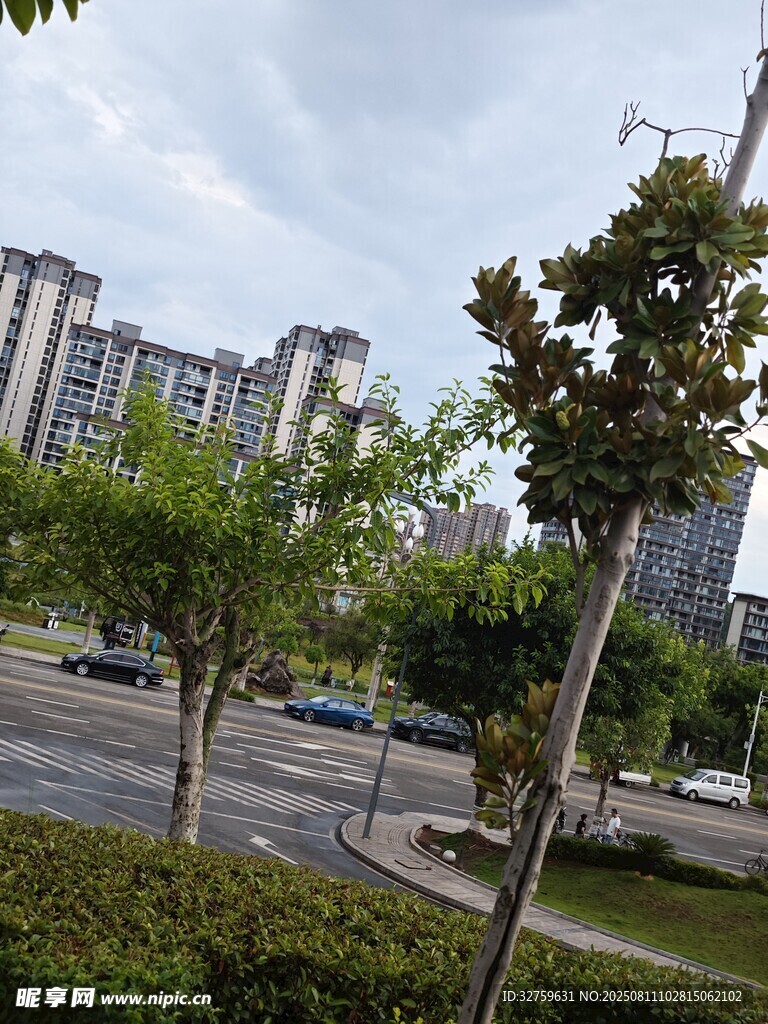城市住宅区绿化景观