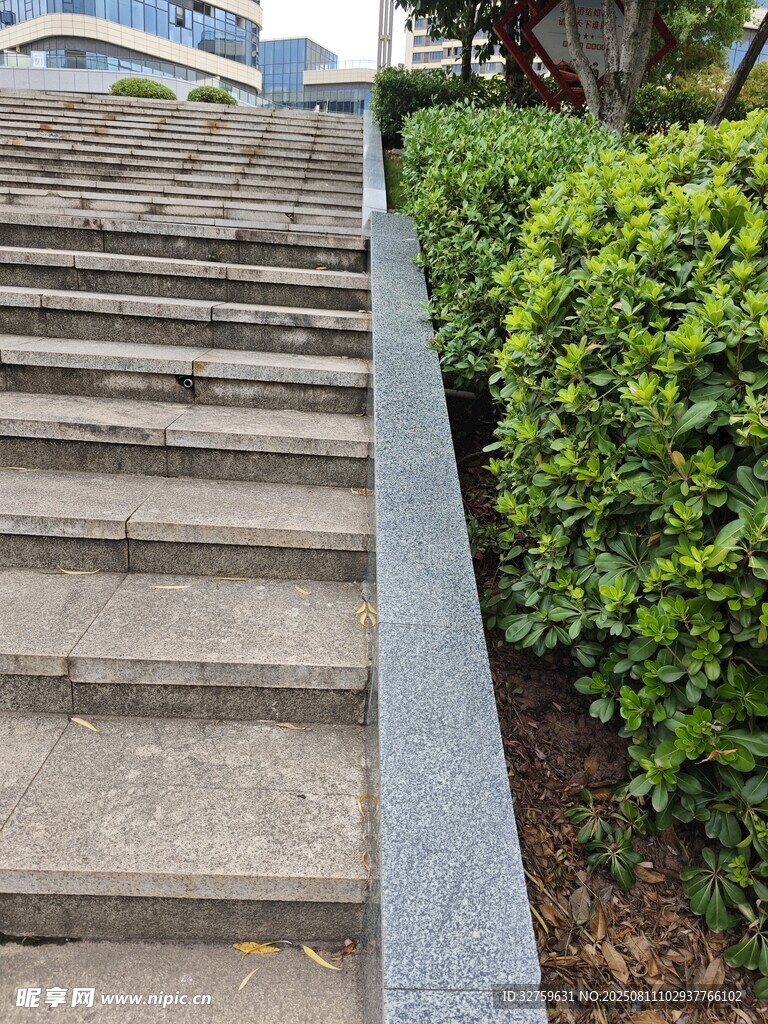 户外石阶旁的绿植景观