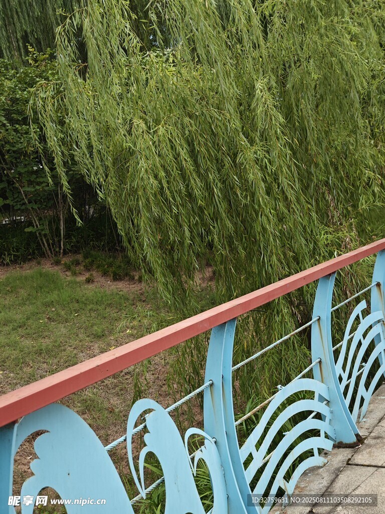 河畔柳下的多彩栏杆