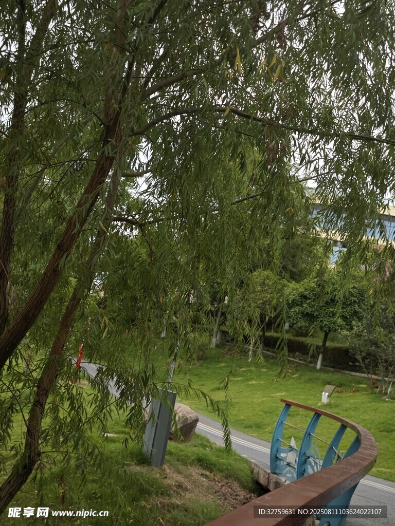 林间蜿蜒步道