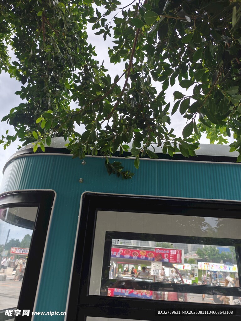 车内视角看绿树与街景