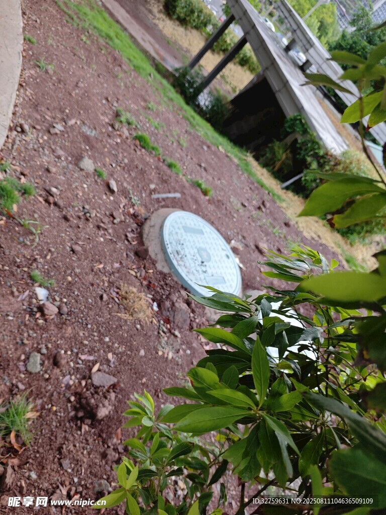 户外地面上的圆形物件