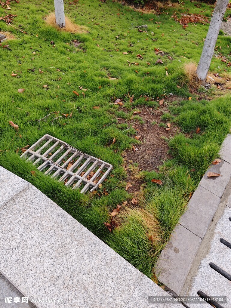 草地旁的金属排水格栅