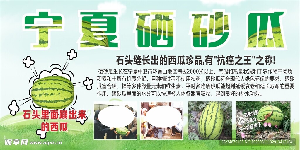 宁夏硒砂瓜