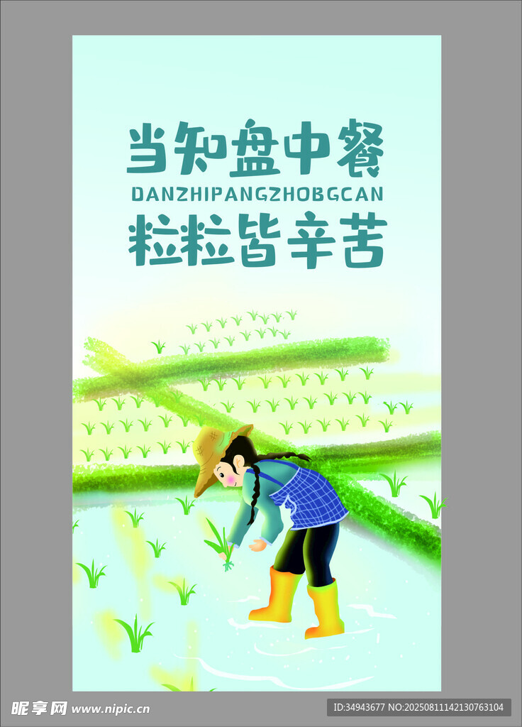 农民田间插秧辛勤劳作