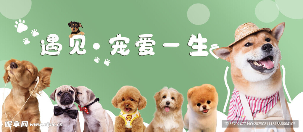 宠物店海报灯箱